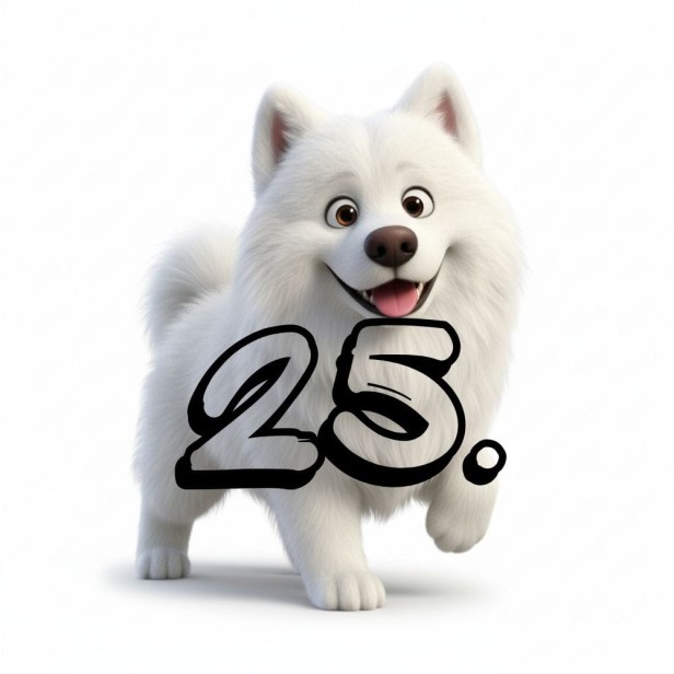 25.jpg